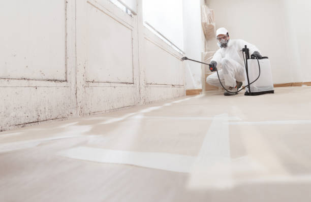 24/7 Emergency Attic Mold Remediation experts in Ashland, MA